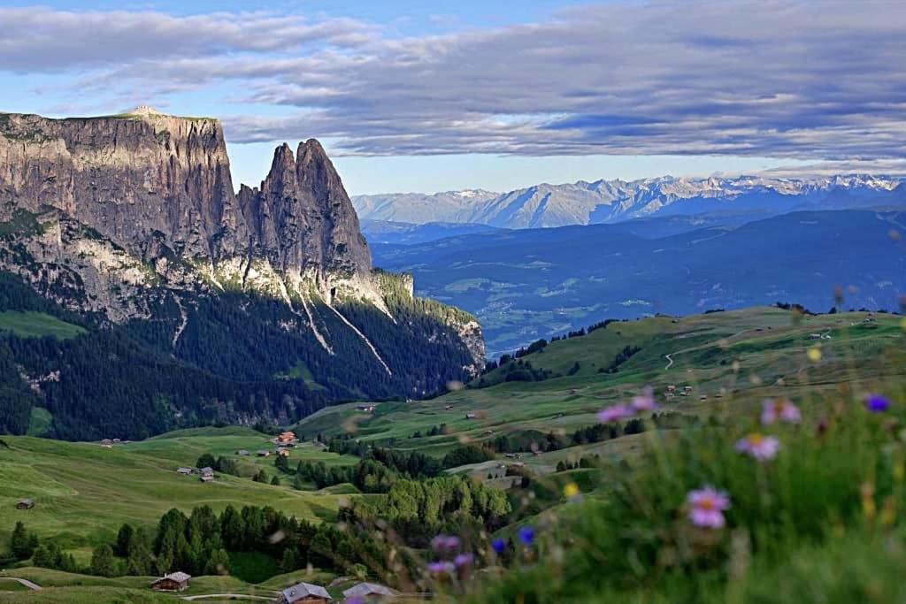 Paradiso Pure.Living Vegan Hotel Alpe Di Siusi Exterior foto